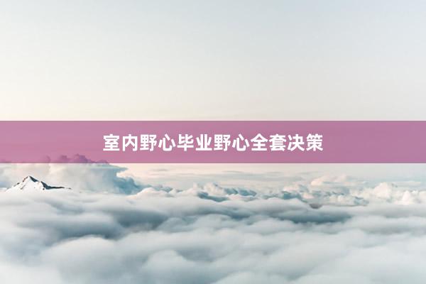 室内野心毕业野心全套决策