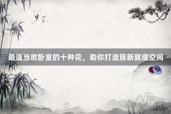 最适当放卧室的十种花，助你打造簇新就寝空间