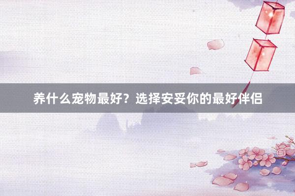 养什么宠物最好？选择安妥你的最好伴侣