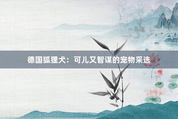 德国狐狸犬：可儿又智谋的宠物采选